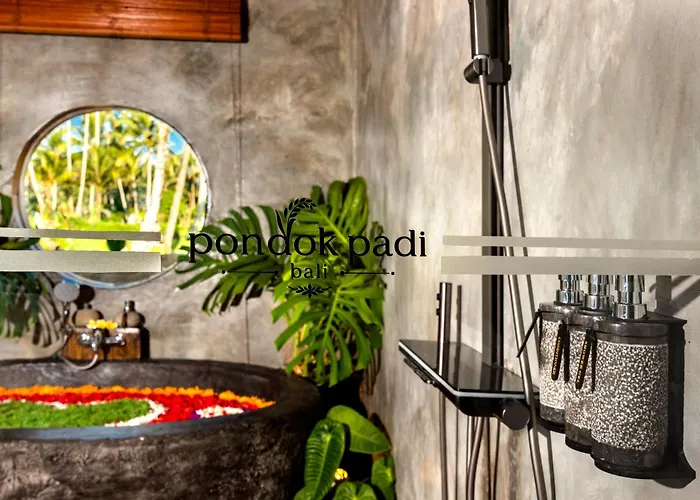 Padi Bali By Dhananjaya Hospitality ホテル